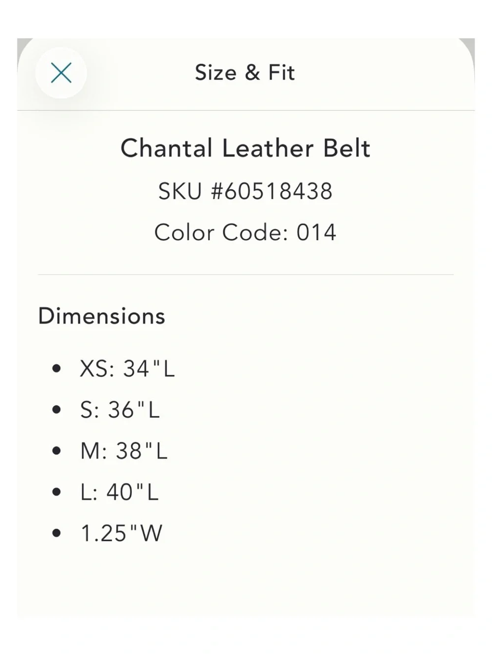 NWOT Anthropologie Chantal Leather Belt In Neutral  Size Small